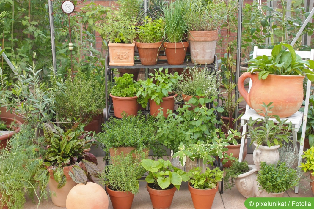 DIYAnleitung Kräutergarten selbst anlegen