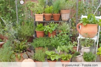 Kräutergarten auf Balkon