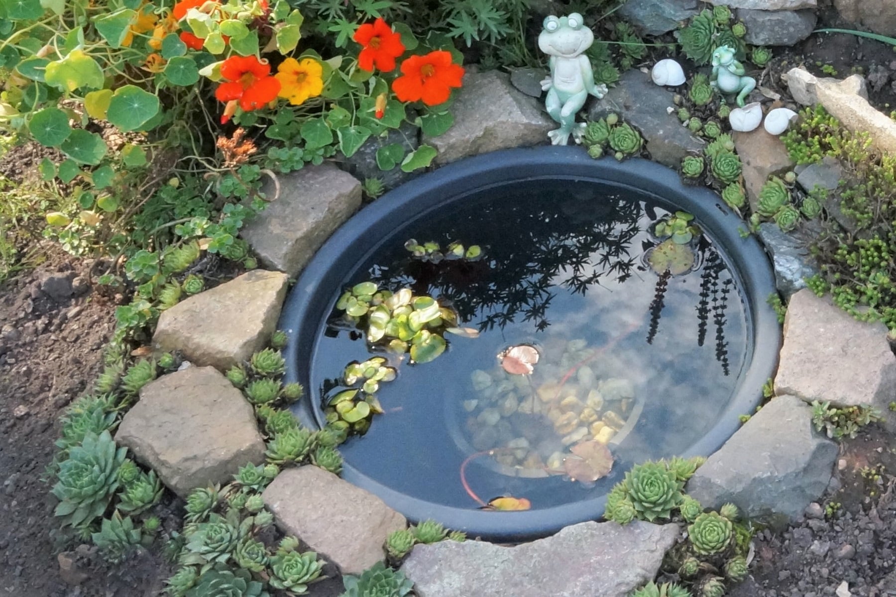 Ideen für Ufergestaltung am Gartenteich, Teich
