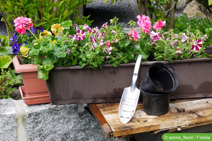 Blumenkasten ganzjährig bepflanzen