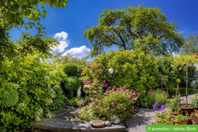 Einheimische Laubgehölze im Garten