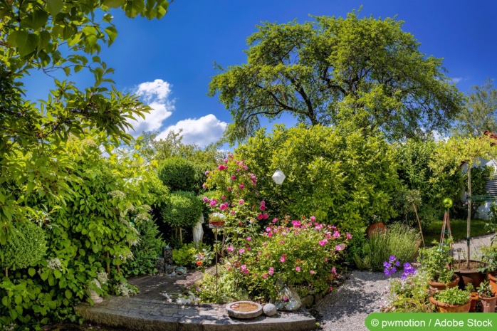 Einheimische Laubgehölze im Garten