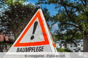 Baumpflege