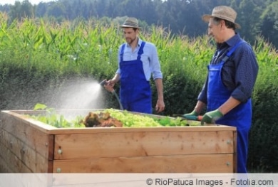 Hochbeet aus Holz