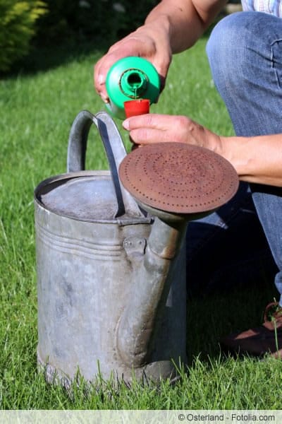 Flüssigdünger kann mit dem Gießwasser zugeführt werden