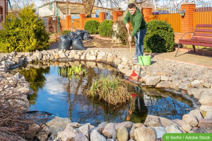 Teich reinigen