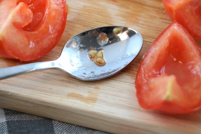 Tomatensamen gewinnen