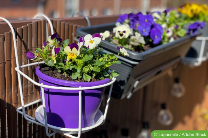 Balkonkasten voller Blumen