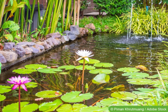 Teich planen - Gartenteich