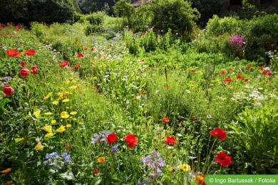 Naturgarten