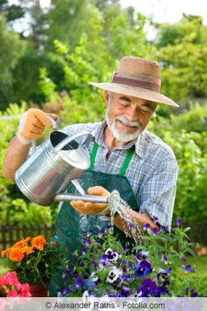 Die regelmäßige Bewässerung von Garten- und Balkonkästen sollte sichergestellt sein