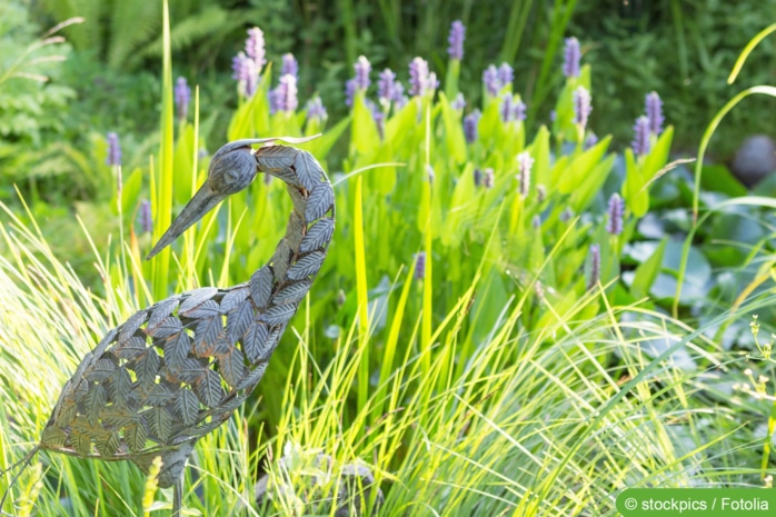 Ufergestaltung am Gartenteich