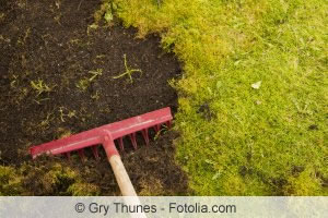 Moos kann man mühsam mit Gartengeräten aus dem Rasen entfernen