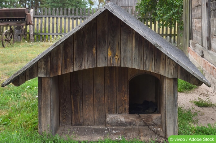 Hundehütte