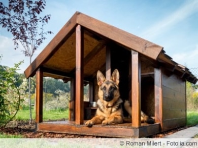 Hundehütte