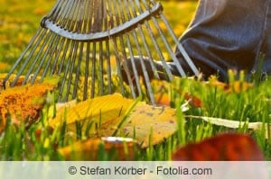 Rasenpflege im Herbst