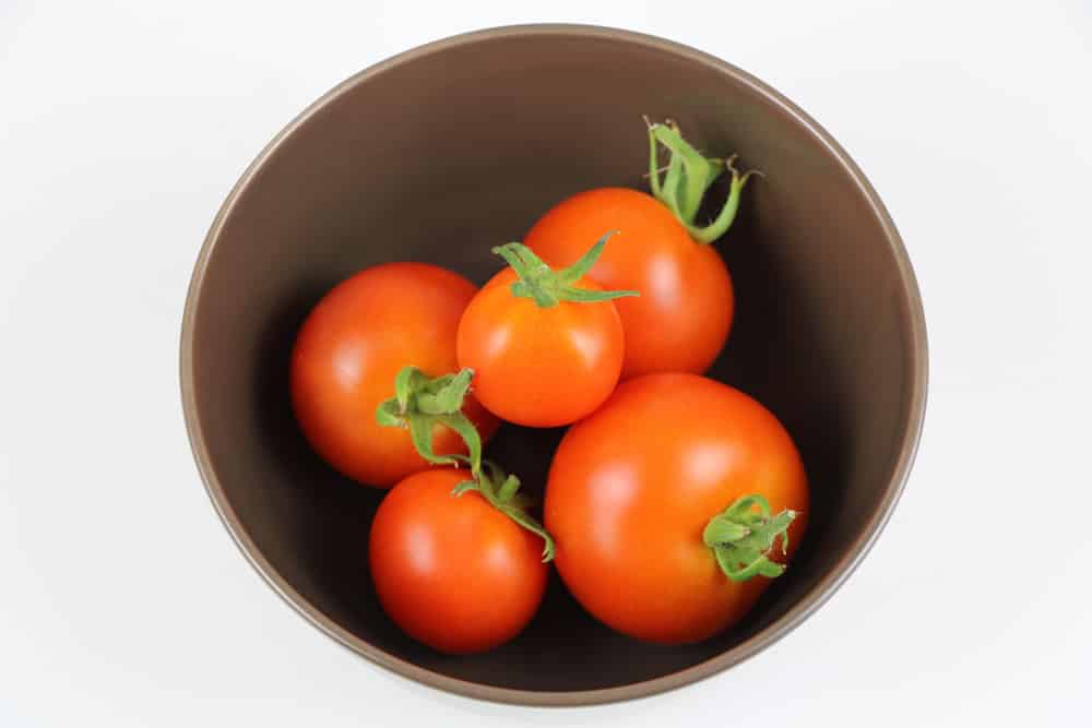 Tomaten - Pflanzzeit
