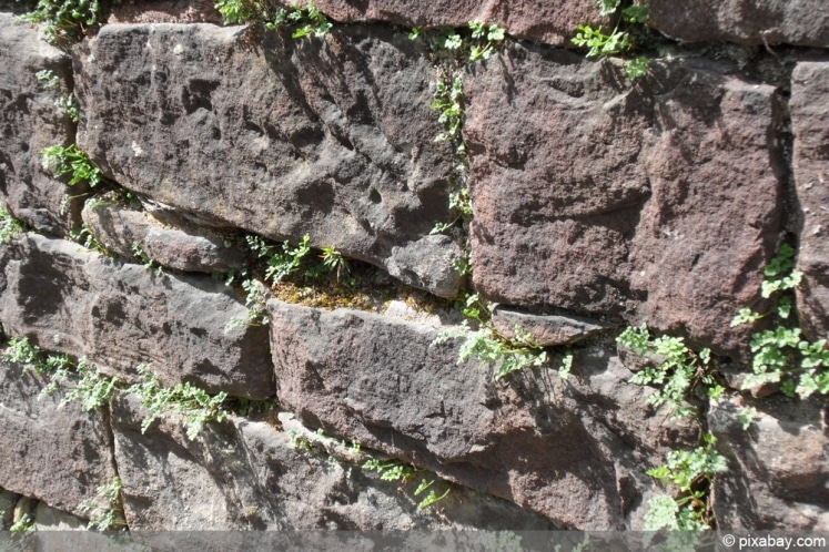 Sandsteinmauer bauen so mauern und verfugen Sie Sandsteine richtig