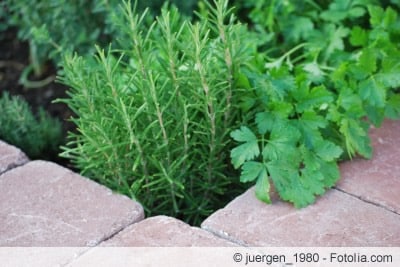 Hochbeet aus Steinen mit Kräutern bepflanzt