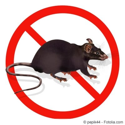 Ratten verboten