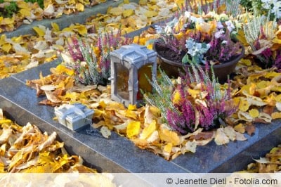 Grabbepflanzung im Herbst