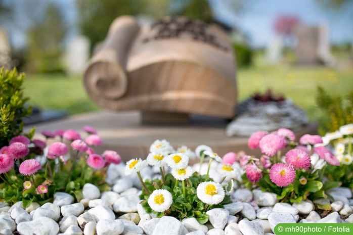 Grabbepflanzung im Frühjahr / Frühling