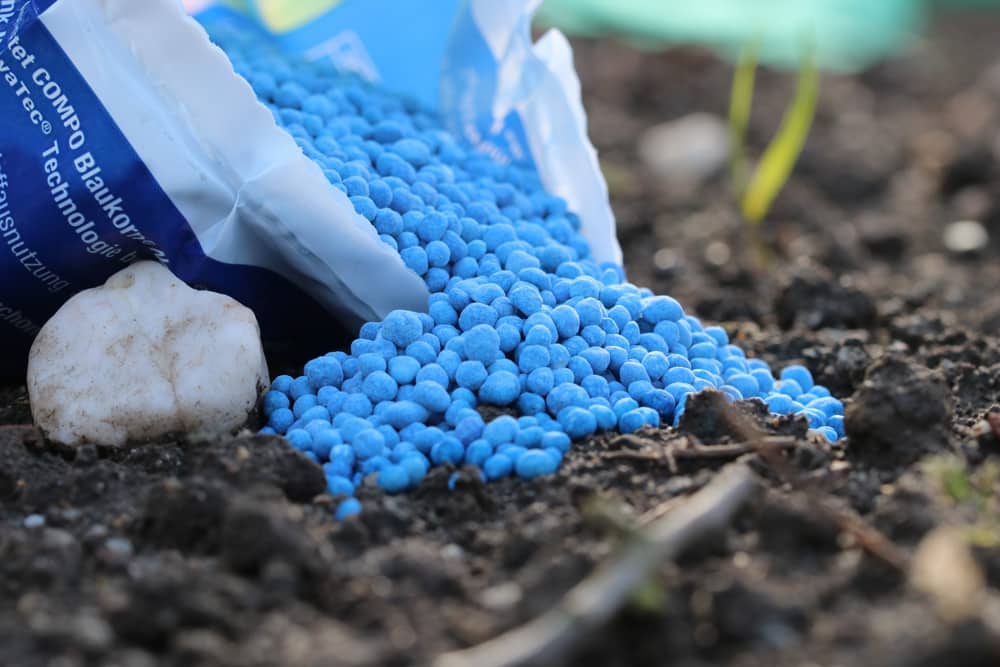 Blaukorn-Dnger fr den Rasen - empfehlenswert oder nicht? - Hausgarten.net