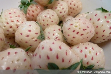 Pineberries