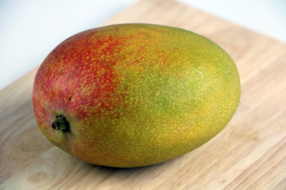 Mangobaum Frucht
