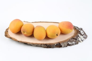 Marille - Aprikose - Prunus armeniaca