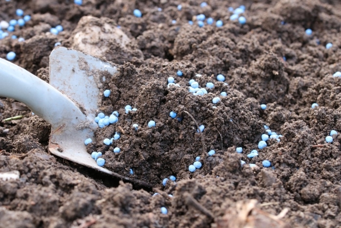 düngen im Garten