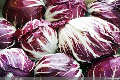 Radicchio - Salat