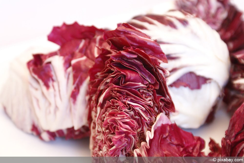 radicchio salat pb 2