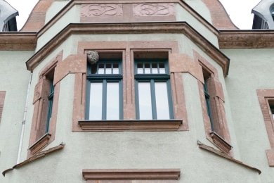 Wespennest direkt am Fenster