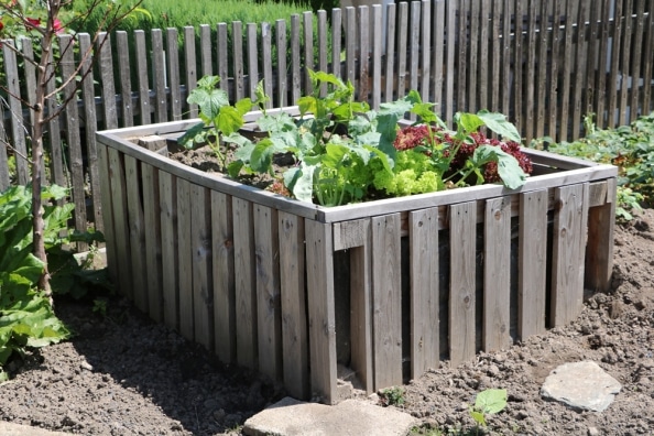 Wege im Gemüsegarten 7 Ideen für schöne und praktische Beetwege
