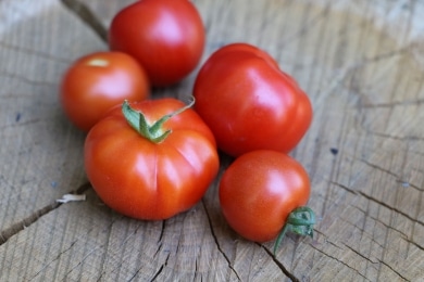 Tomaten - Solanum lycopersicum