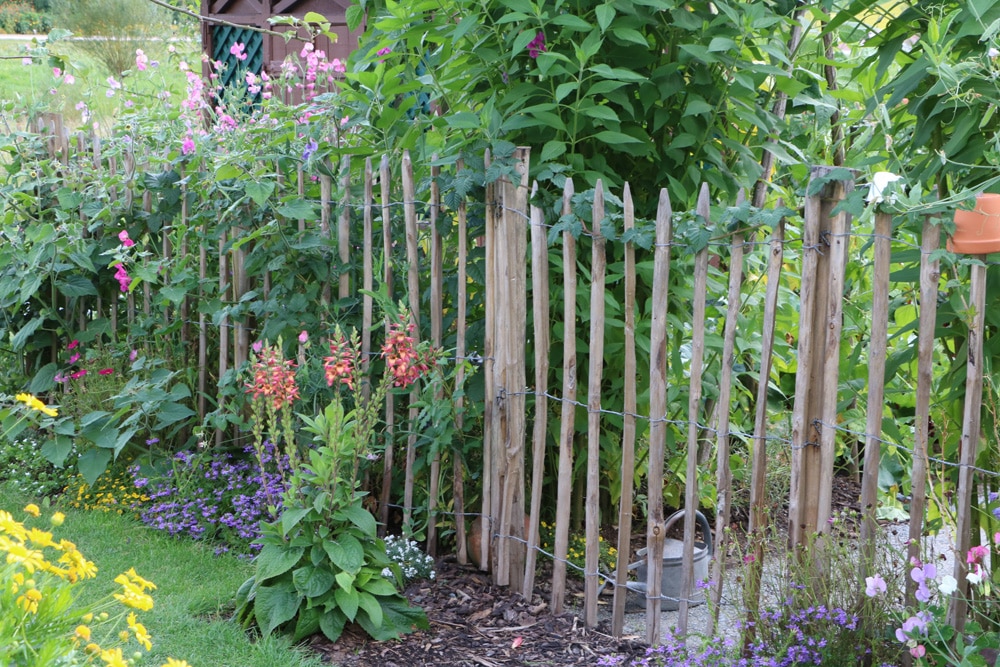 Garten mit Mischkultur