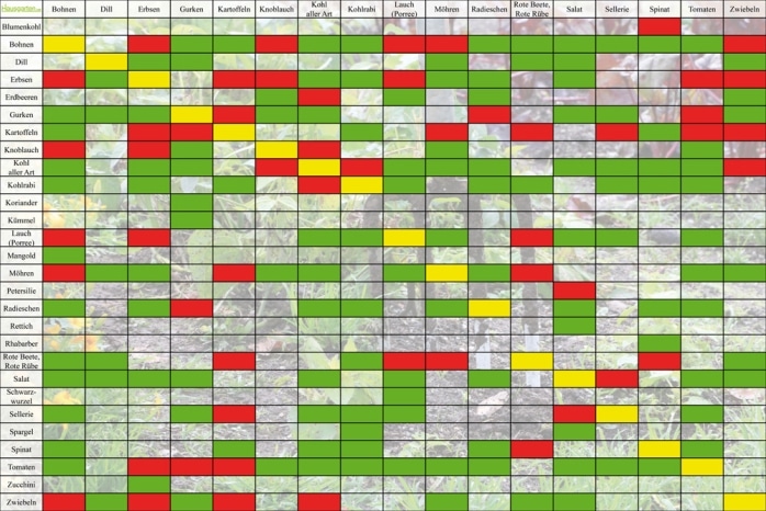 Was ist eine Mischkultur? Beispiele mit Tabelle aus dem Garten