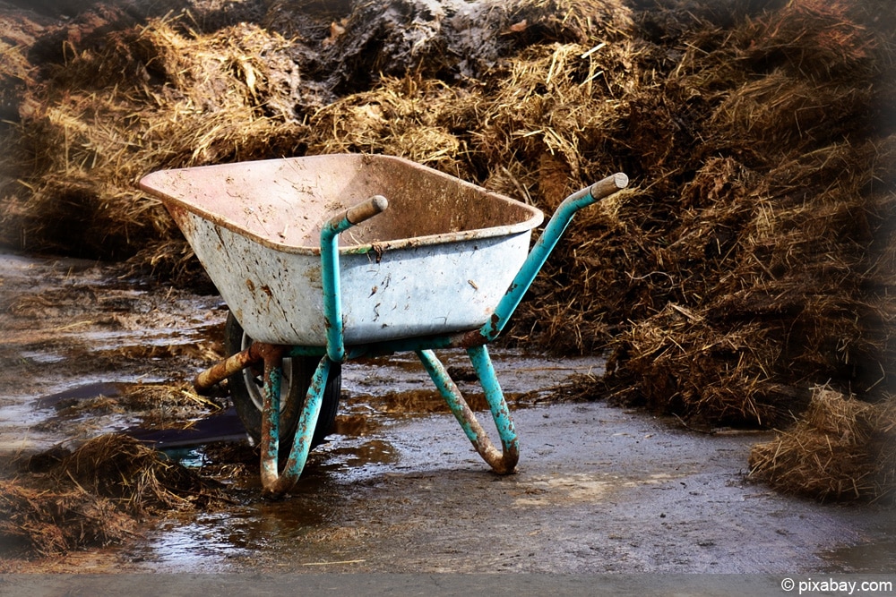 Überdüngung in der Landwirtschaft