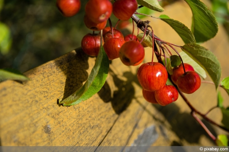 Die Kunst, einen fesselnden Roman zu schreiben