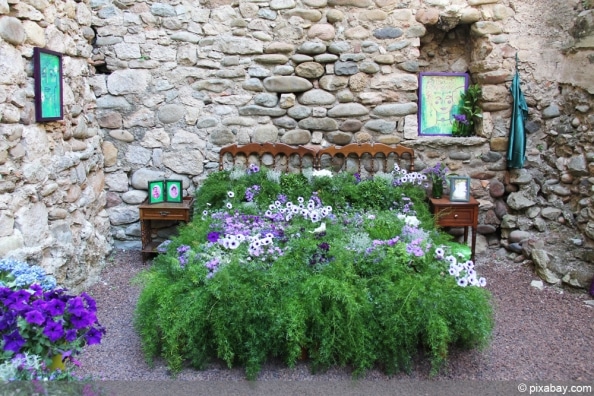 Schamblumen, Aeschynanthus Sorten und PflegeHinweise