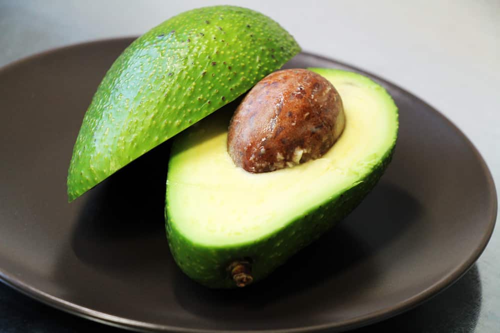 Avocado - Persea americana