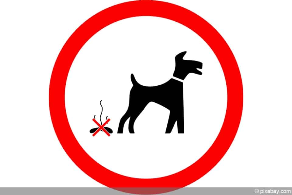 Hundekot im Garten was tun? So verhindern Sie lästige Hundehaufen