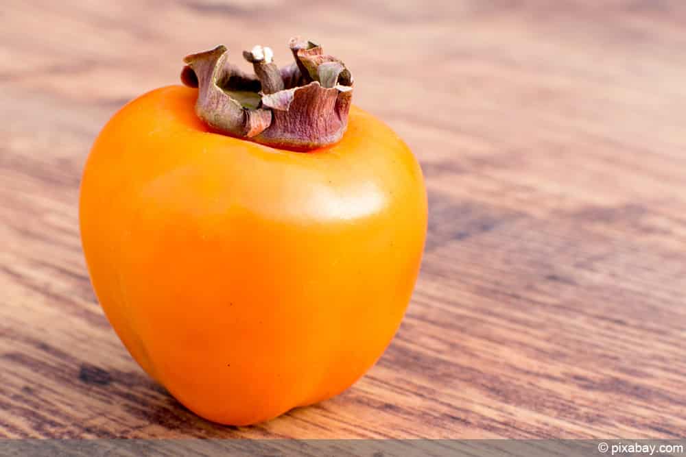 Sharonfrucht anbauen - Kaki-Pflanzen aus Samen