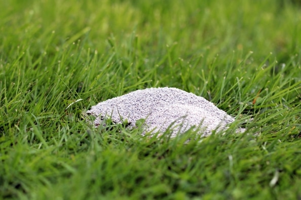 Gartenkalk ausbringen wofür und wann? Darum ist Kalk gut