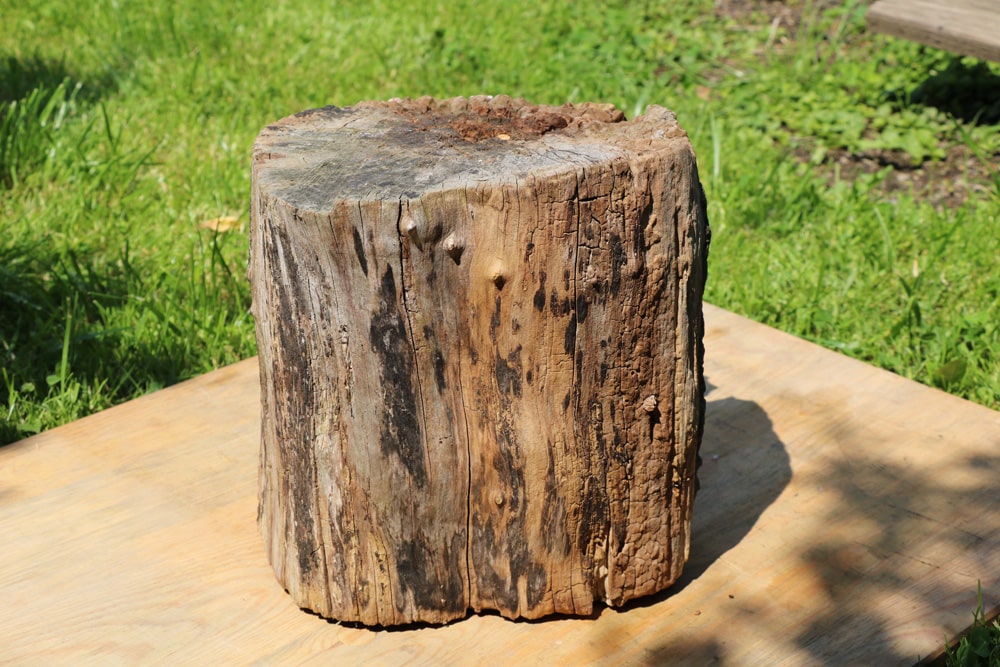 Schwedenfeuer Baumfackel Holz