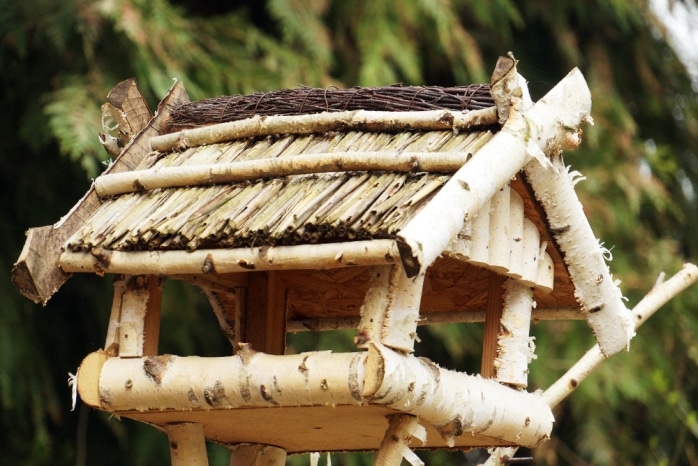 Vogelhaus und Nistkasten vor Katzen sichern so schützen Sie Vögel