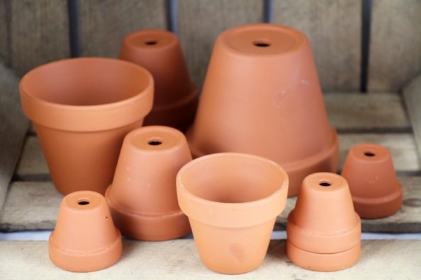 TerracottaTöpfe so reinigen Sie Blumentöpfe Pflege und Reinigung