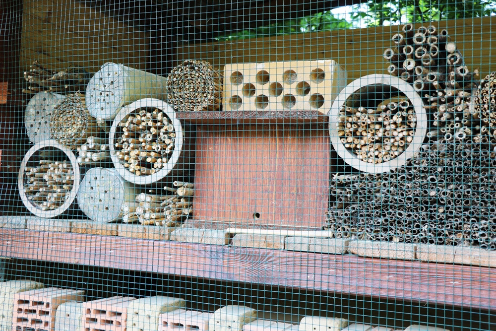 Wildbienenhotel - Insektenhotel