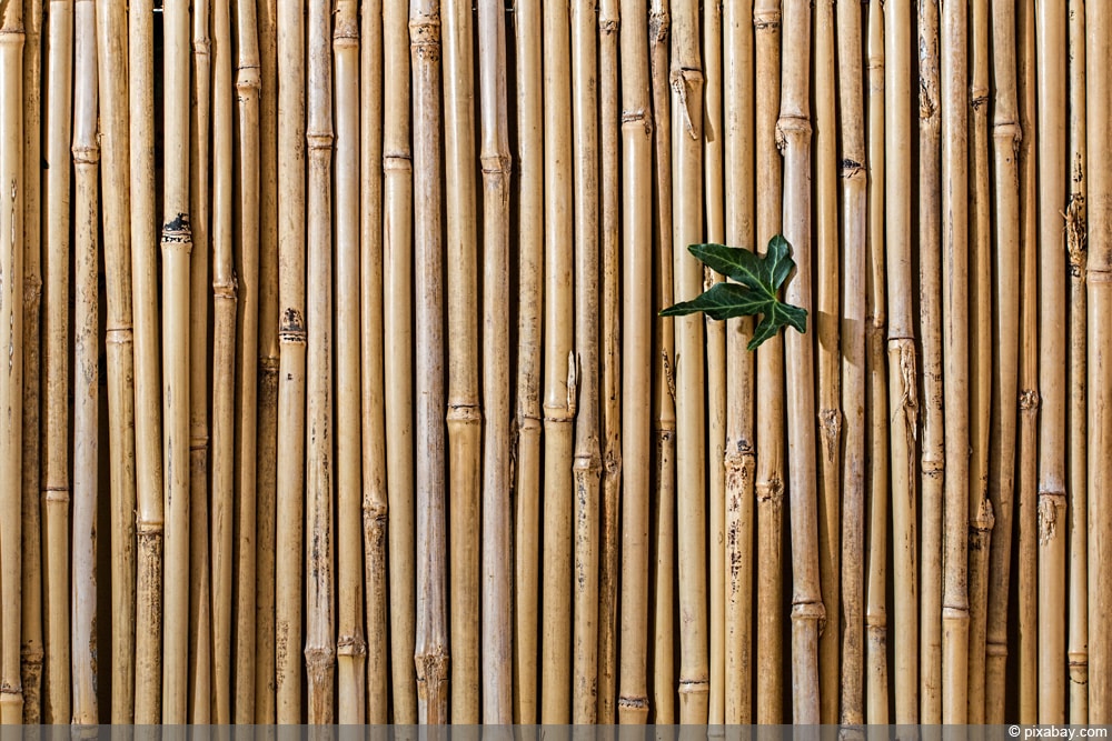Sichtschutz aus Bambus